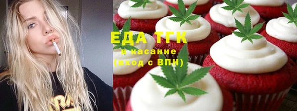 шишки Покачи